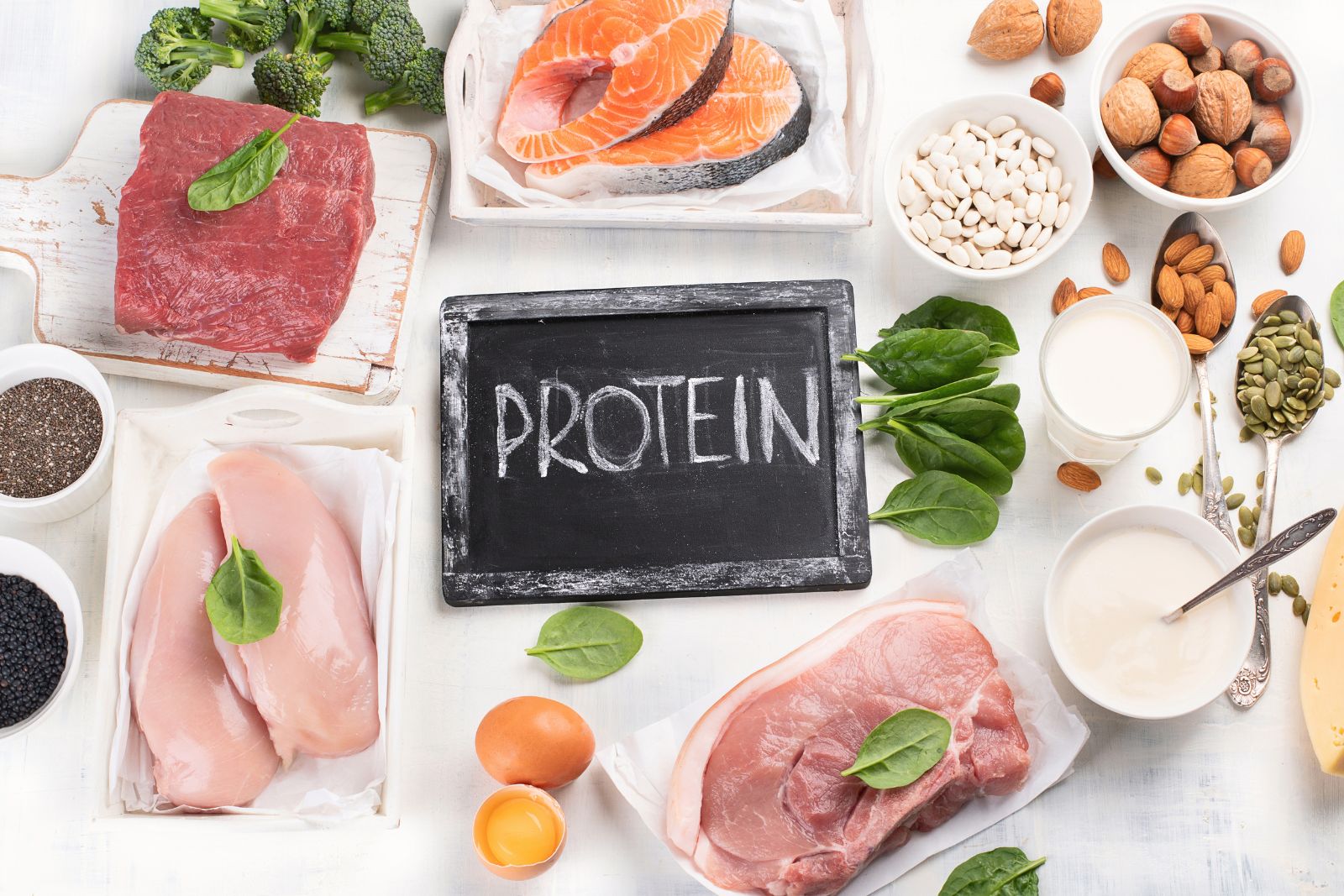 How Protein Supports a Healthy Metabolism