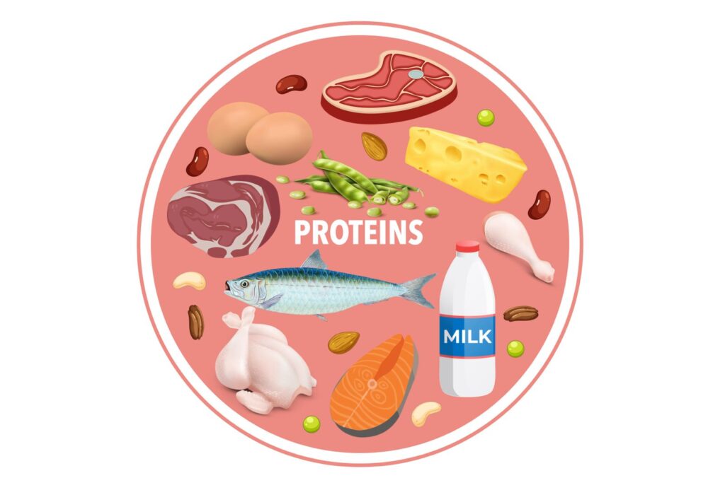 Proteins Lida Green and Lipovon